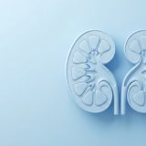 eGFRが低いとどうなる？放置するリスクと主な原因、腎機能低下を抑える改善策を解説