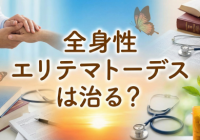 sleのアイキャッチ画像