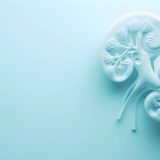 高齢者のeGFR基準値｜60未満でも大丈夫？年齢別の平均値と受診の目安を解説