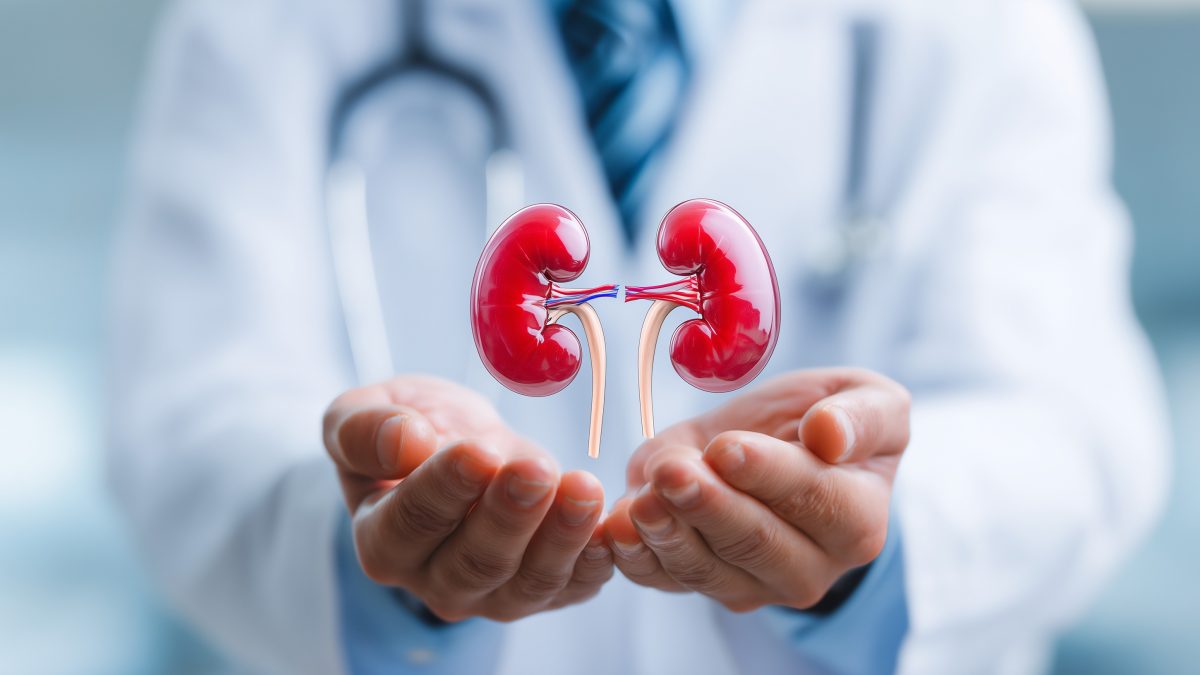 IgA腎症とストレスの関係：免疫への影響と効果的な管理法