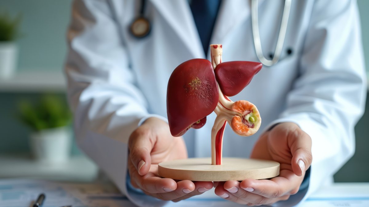 B型肝炎とC型肝炎はどちらが「怖い」？感染力・重症化リスク・治療法を徹底比較