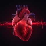 心筋症の余命と生存率は？治療の進歩と予後を詳しく解説