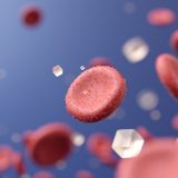 HbA1cを下げるには？期間と生活習慣の改善で健康を取り戻す方法