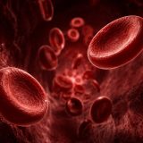 血友病の寿命はどこまで延びた？最新データと長生きのための健康管理